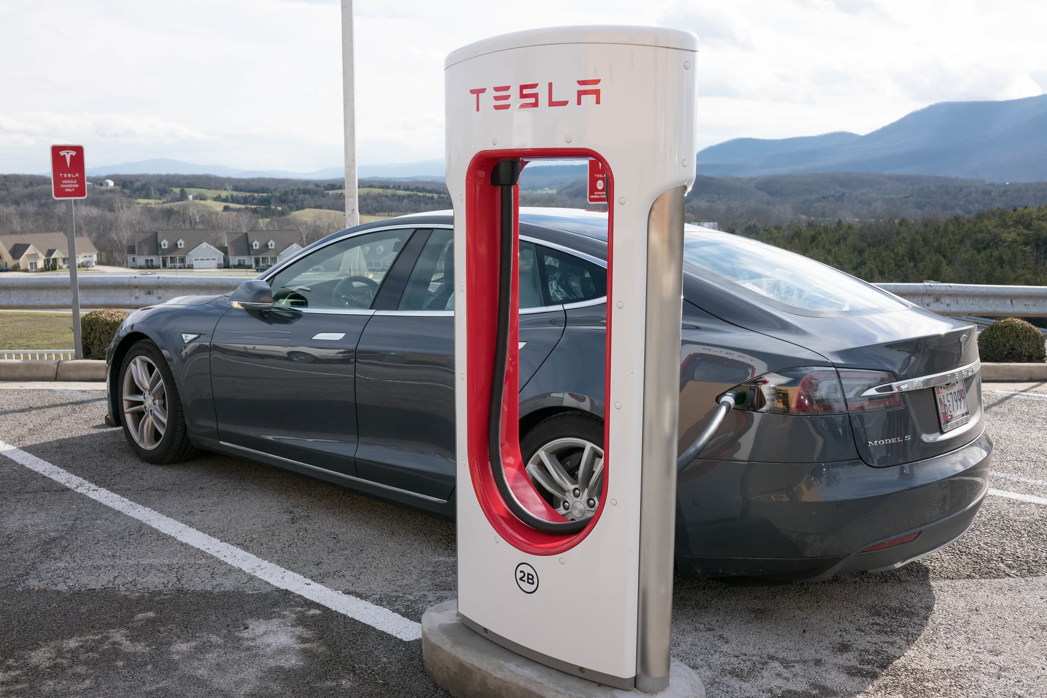 Tesla Falls 14.5%, Alphabet Drops 7.1% as Tech Sector Sells Off