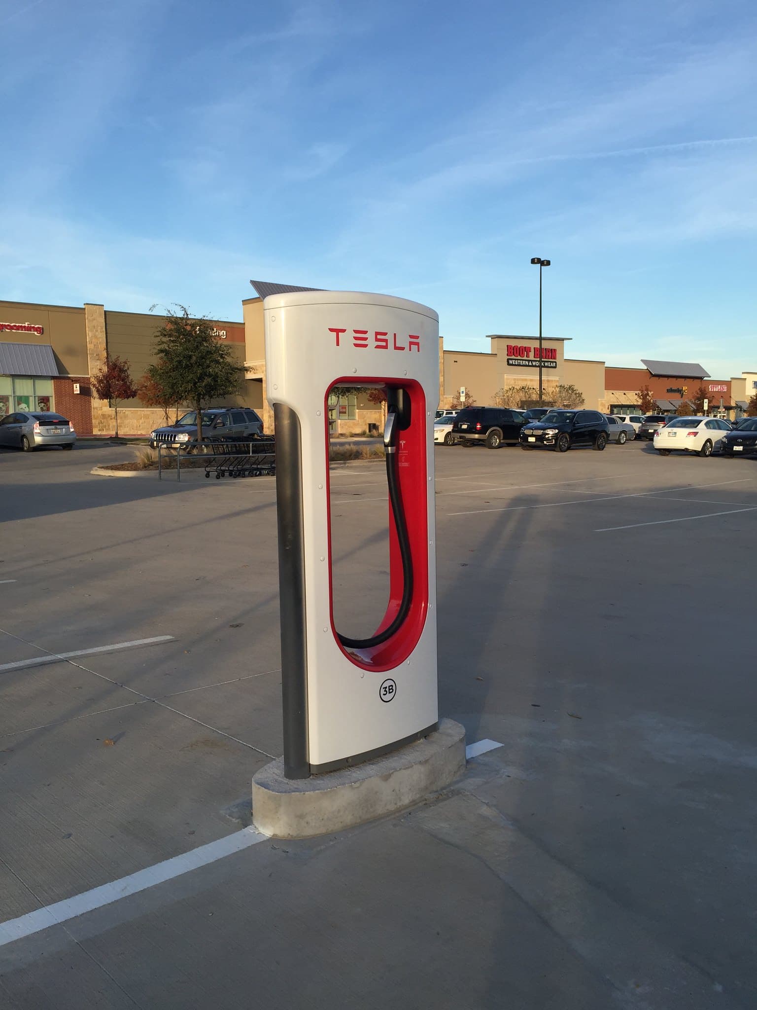 Tesla Jumps 4 Percent as EV Demand Resilience Challenges Market Bears