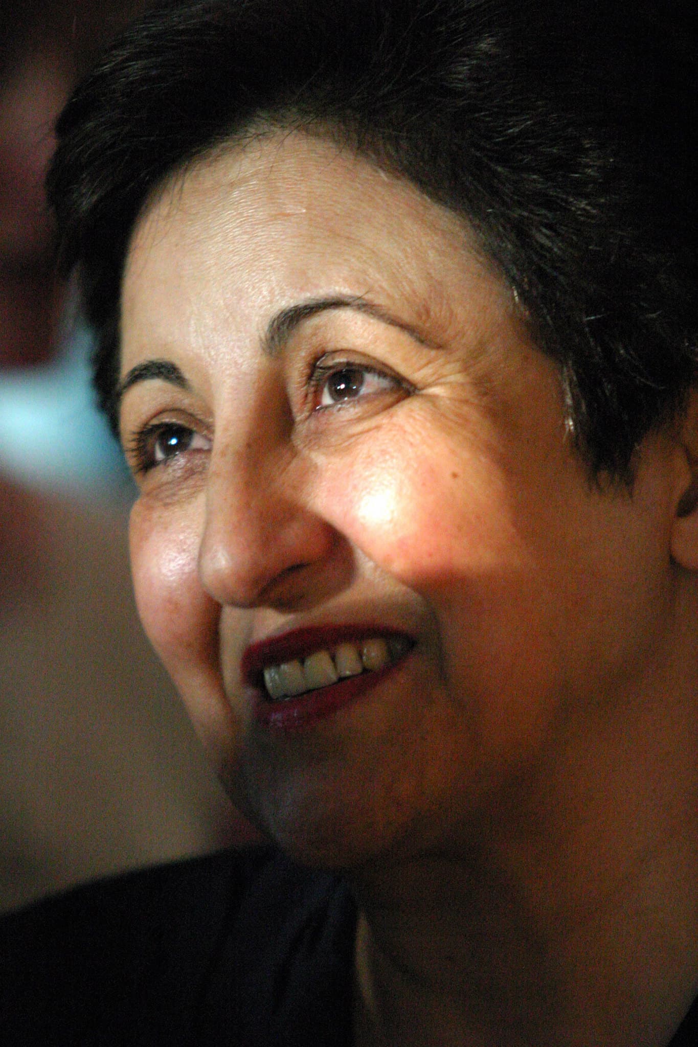 Iran Nobel laureate Mohammadi needs urgent heart treatment in Tehran, brother says
