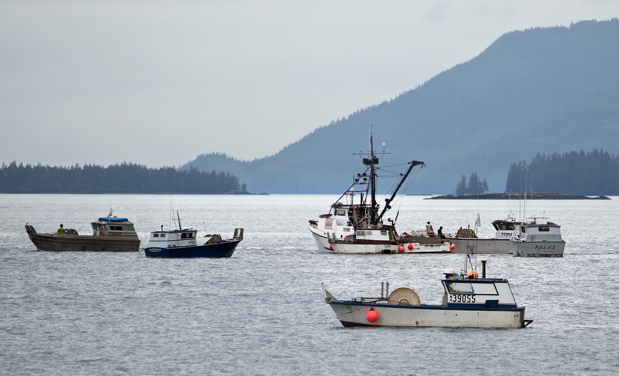Sullivan and Peltola Spar Over Salmon Protection in Alaska Senate Debate