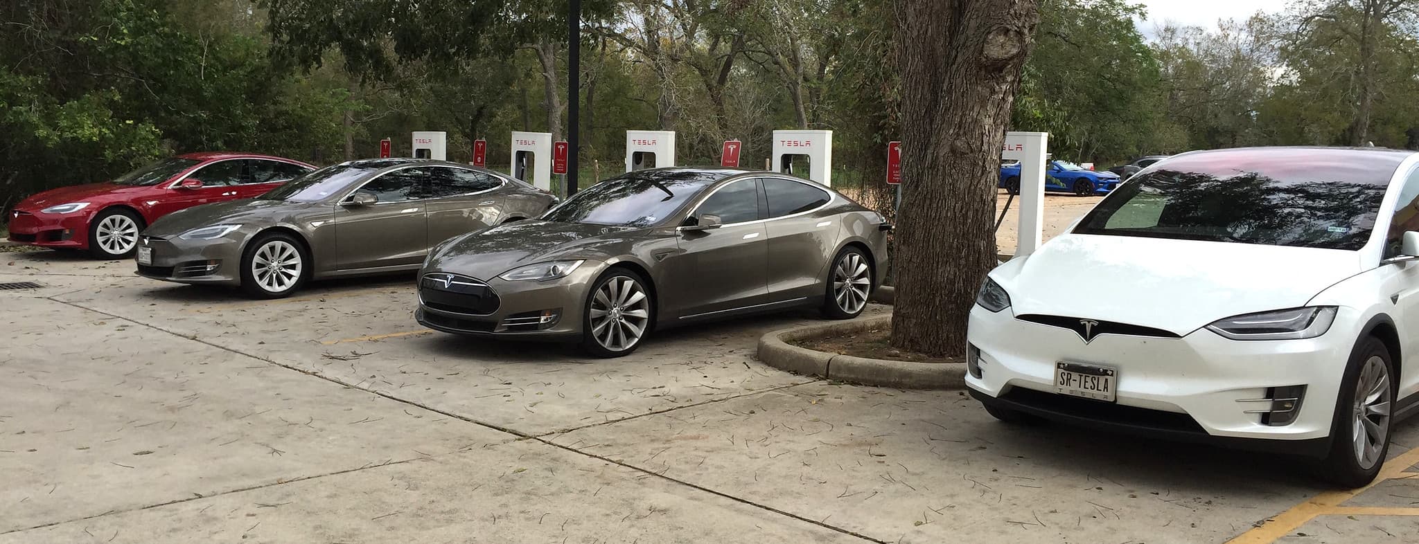 Becerra's 48% California Governor Odds: Tesla and First Solar Face Policy Shifts