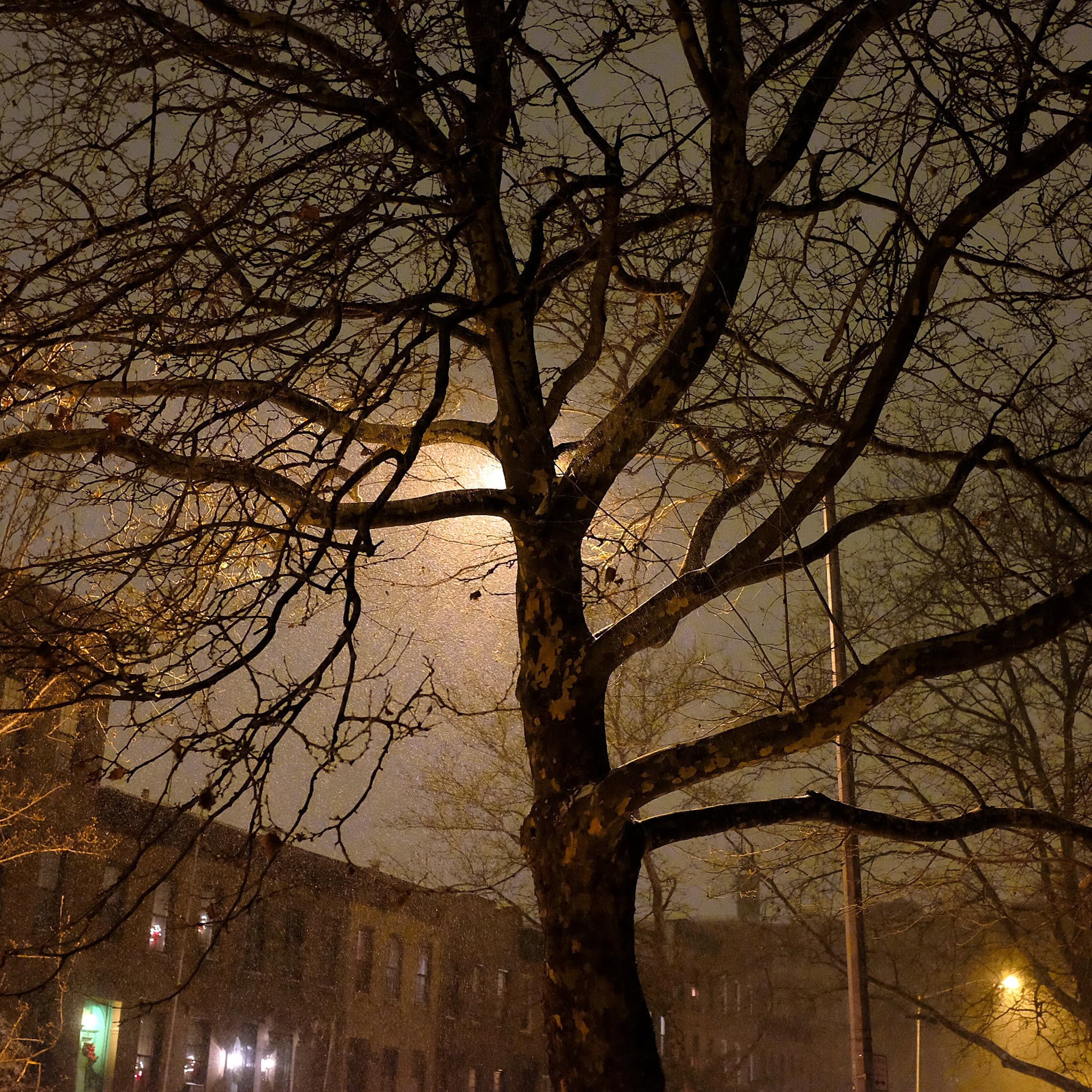 Nor'easter Kills One in New York as East Coast Faces Flooding