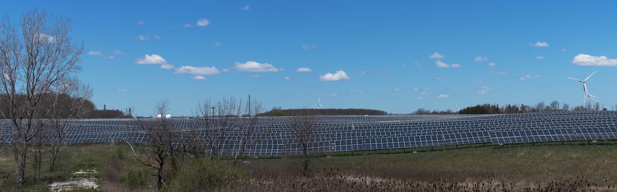 Asia's richer countries have found alternative energy sources