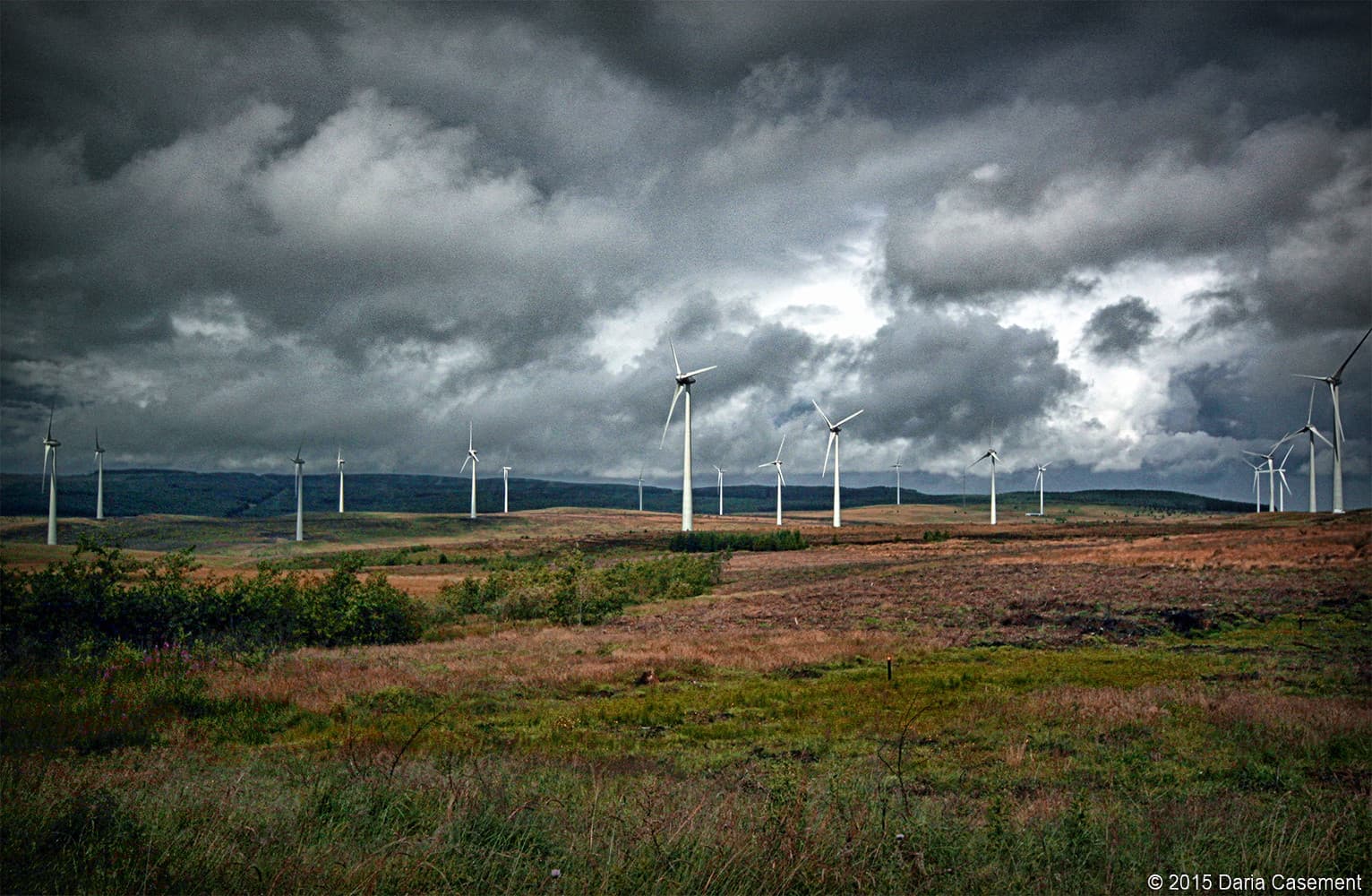 Wind Turbine CEOs Push EU to Ease Merger Rules, Citing Chinese Market Dominance