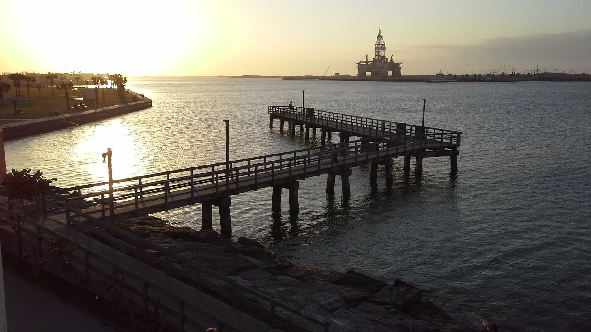 Crude oil production in the major Gulf Arab exporters plunged in March due to the Iran war, according to data released by OPEC on Monday.
