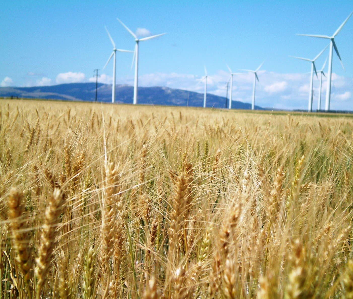 Trump Halts U.S. Wind Projects Citing Security — Fixed Income Braces for Policy Shock