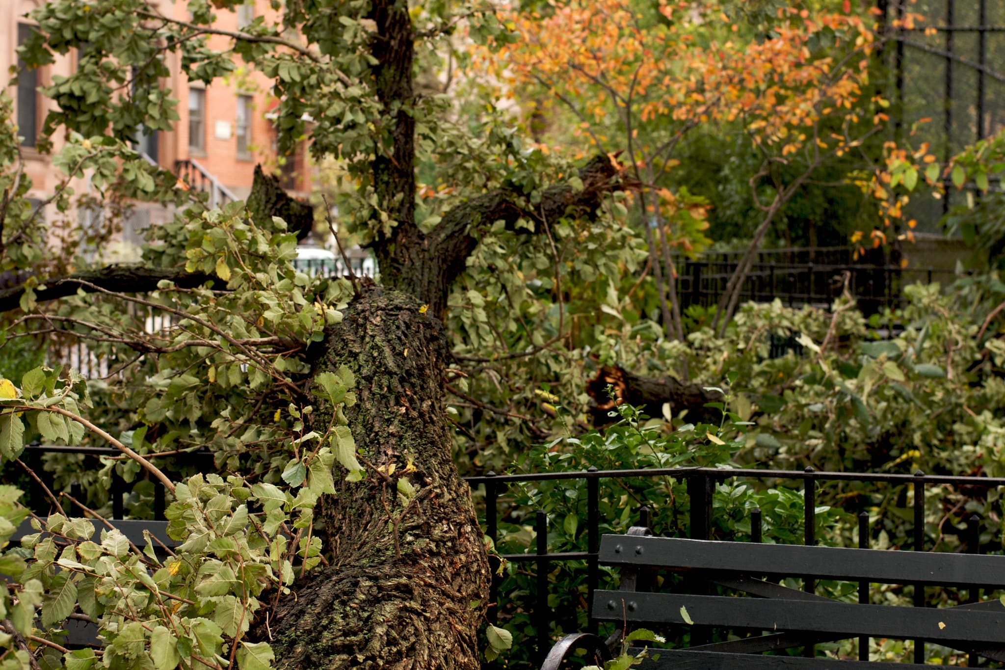 Nor'easter Kills One in New York as East Coast Faces Flooding