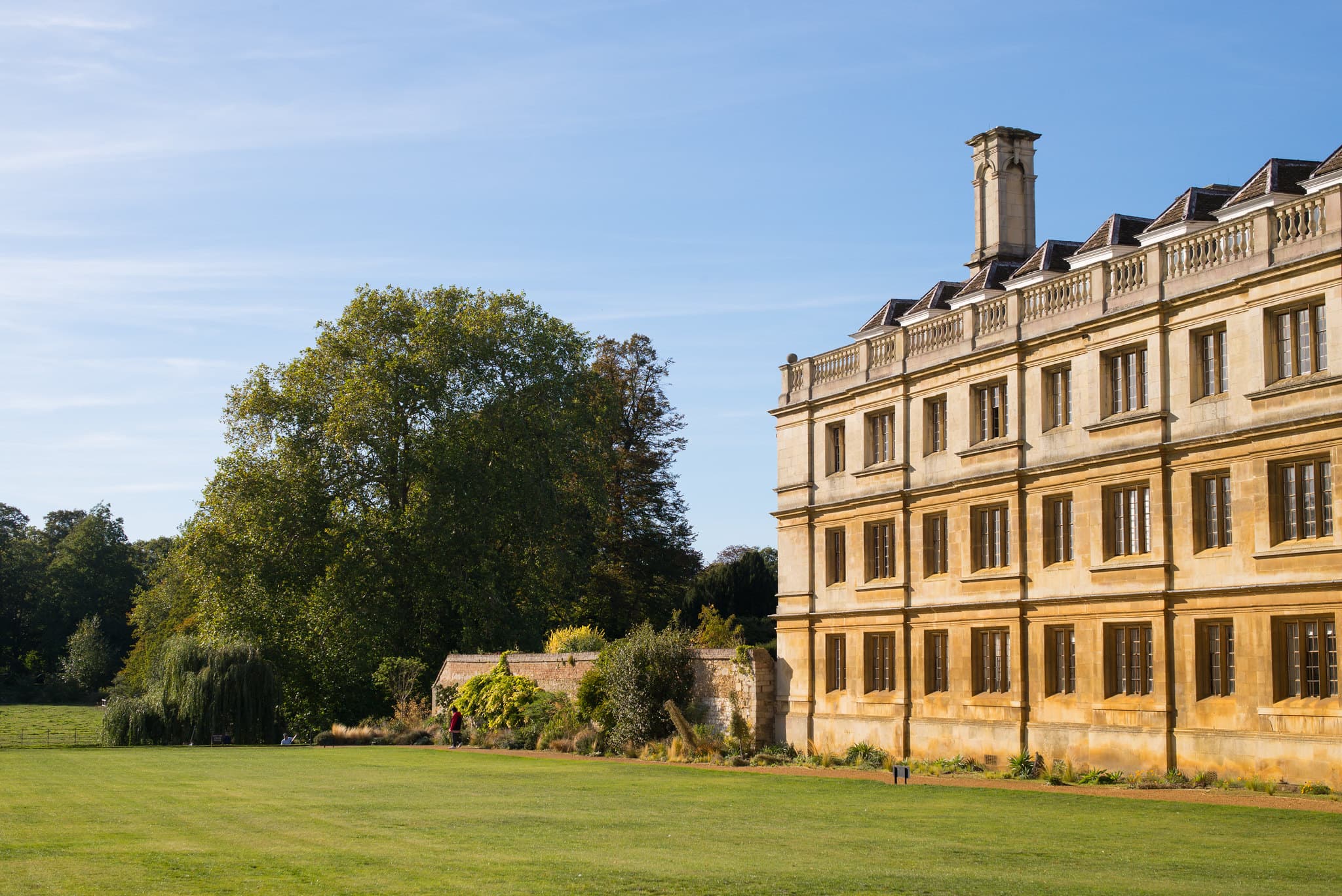 Cambridge to Investigate Professor's Hiring After Resignation
