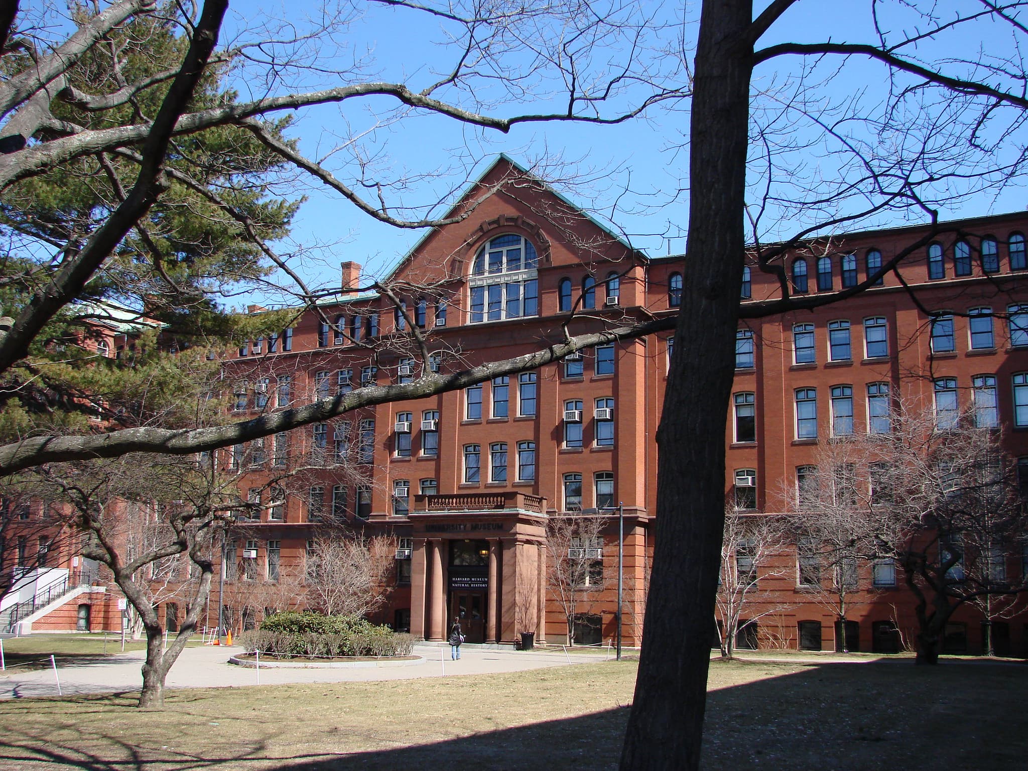 Boston Scholar Questions Direction of Modern Feminism