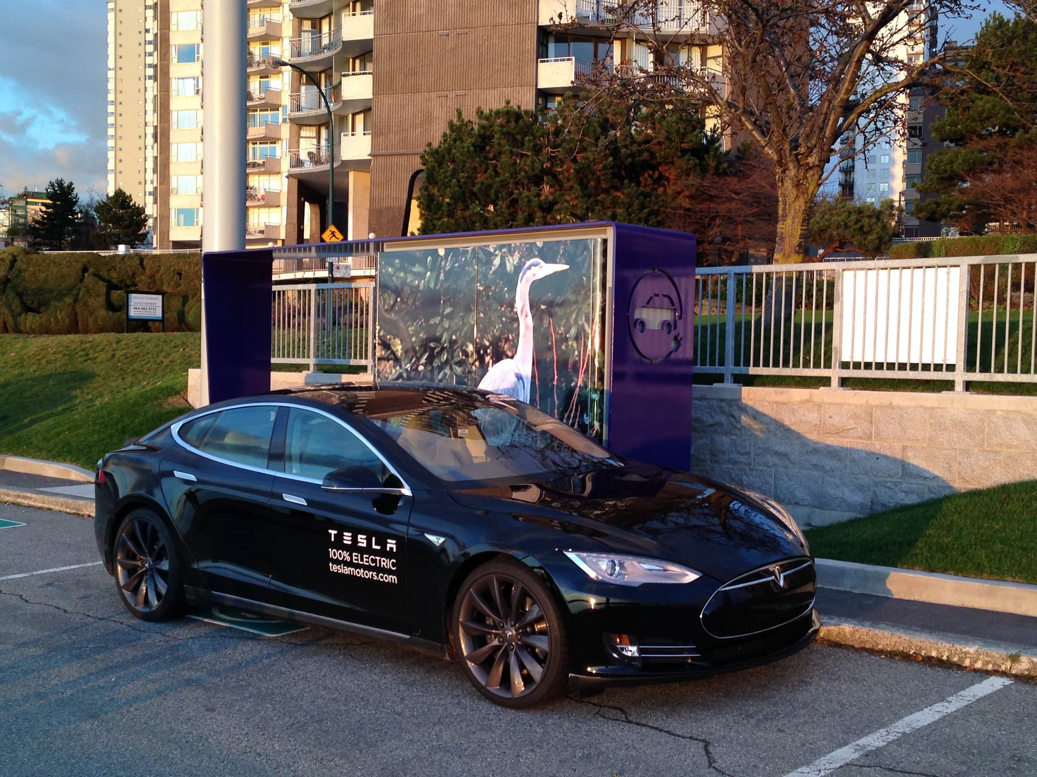 Mag 7 Stocks Drop: Tesla Leads Steep Decline as Nasdaq Falls