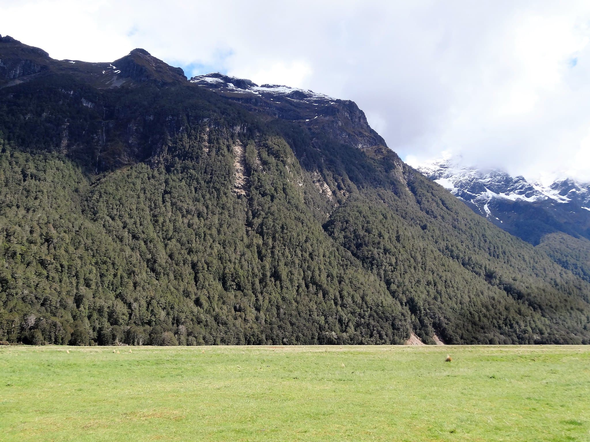 New Zealand Inquiry Slams Police, Child Welfare Agency for Missing Children Case