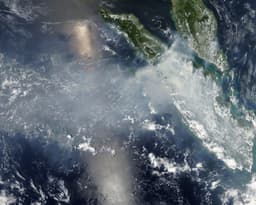 Indonesian Groups Sue Prabowo Over Forest Fire Response