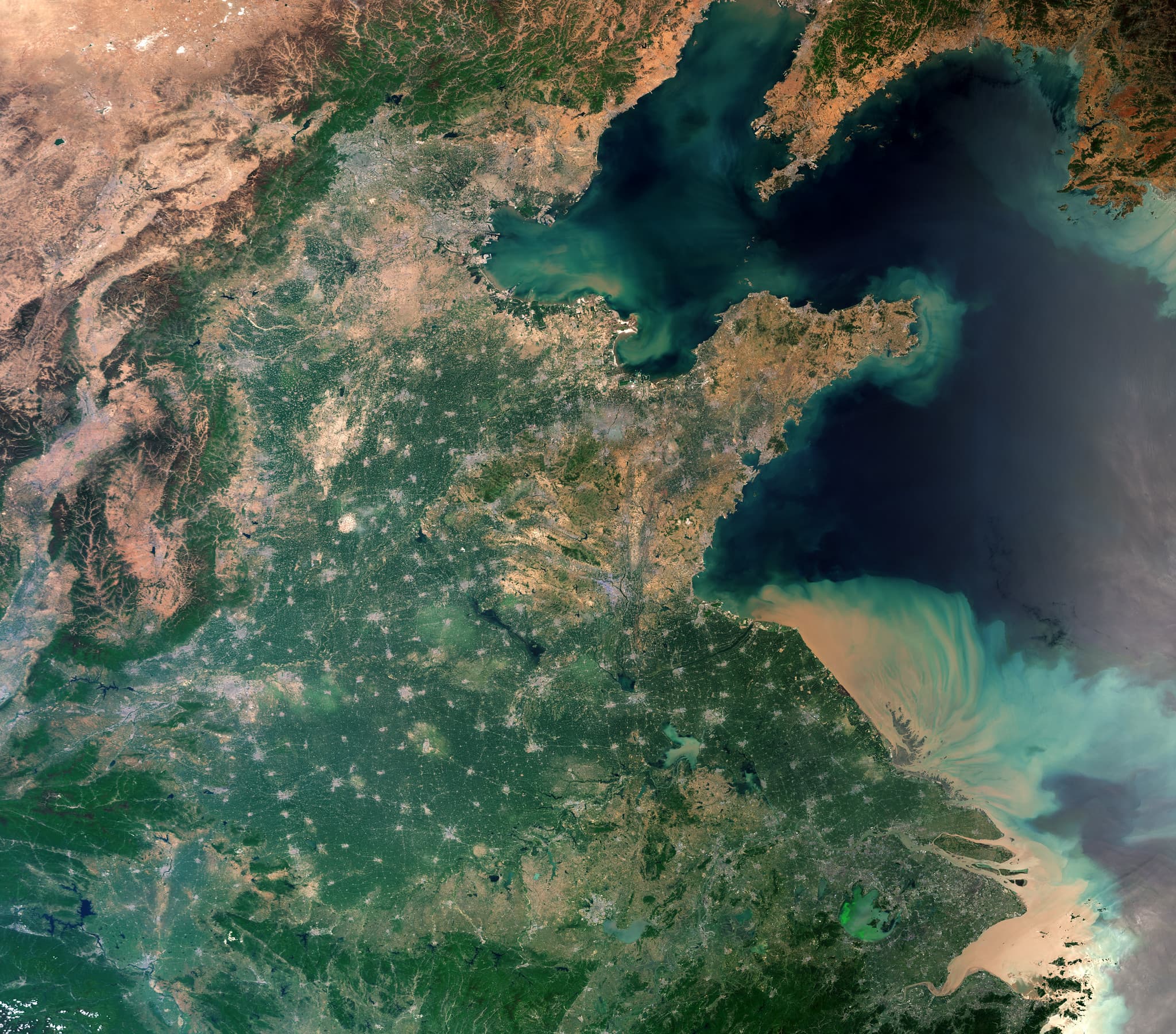 China Closes Gap on U.S. AI as Beijing Pushes Broad Adoption