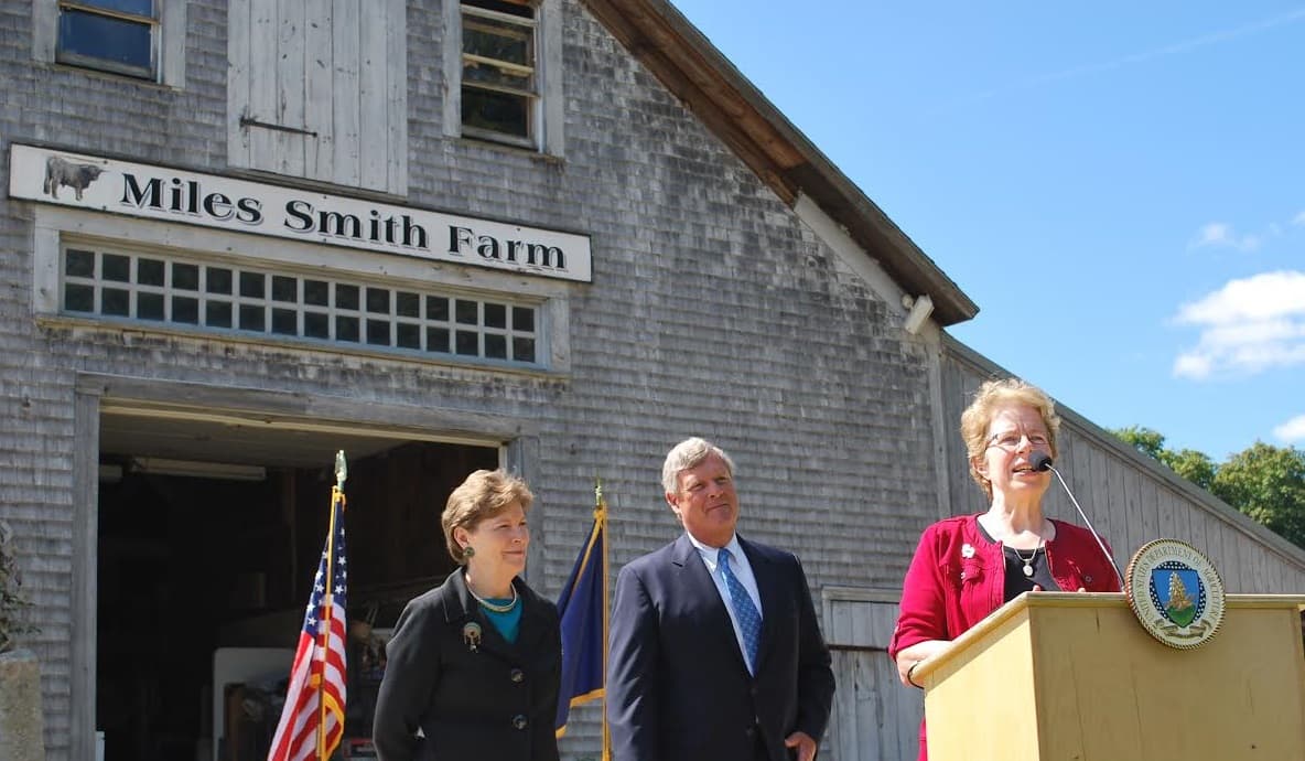 Sununu Dominates GOP Primary as Shaheen Struggles in House Race